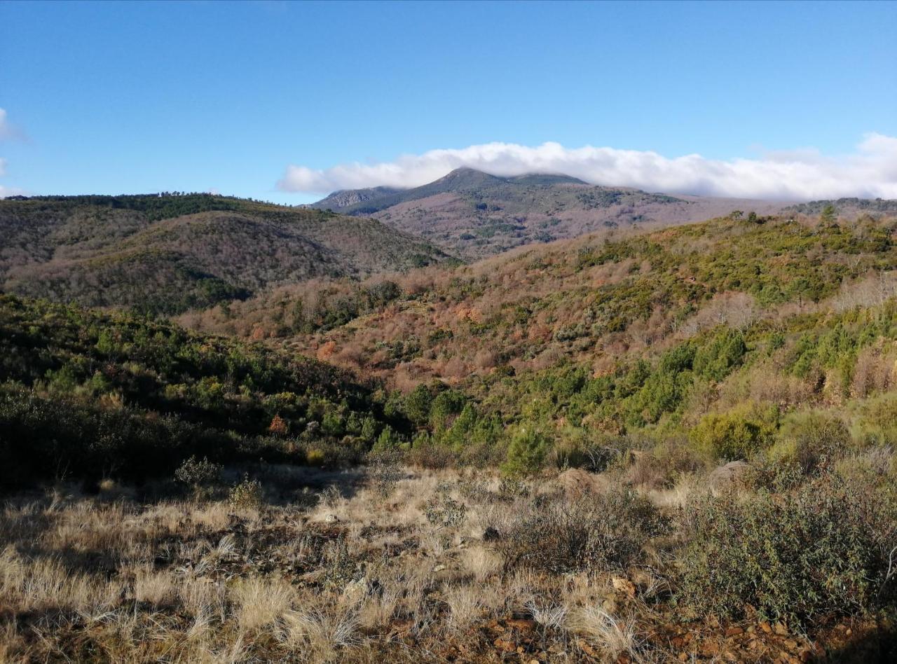Casa Rural Mirador Del Valle Cepeda Dış mekan fotoğraf